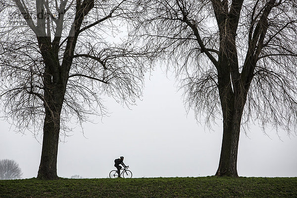 Radfahrer  tristes Winterwetter  Nebel  kahle Bäume