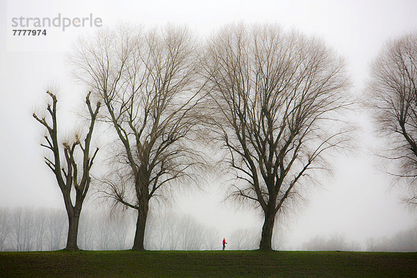 Frau beim Walken  tristes Winterwetter  Nebel  kahle Bäume