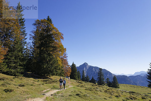 Postalm mit Rinnkogel