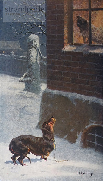 In Frost erstarrend  Illustration aus dem Jahrbuch Moderne Kunst in Meisterholzschnitten  1900