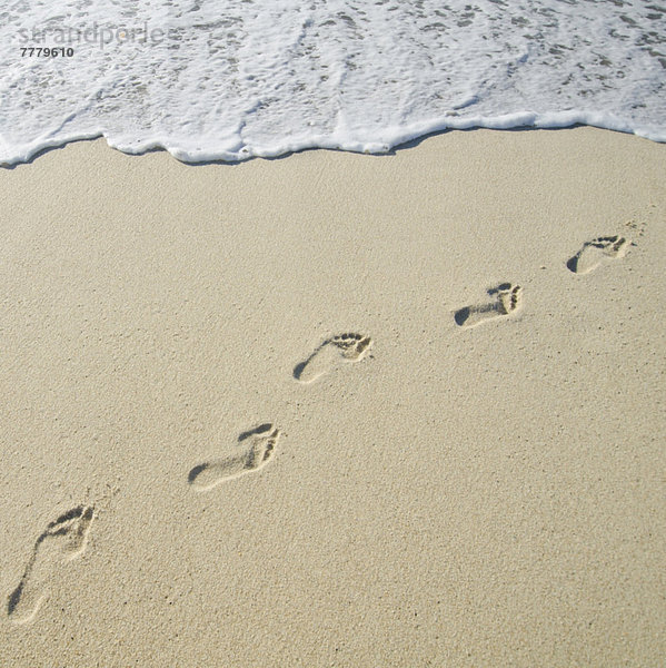 führen  Strand  Meer  Sand  Fußabdruck