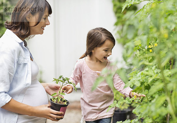 Schwangere Mutter und Tochter bei der gemeinsamen Gartenarbeit