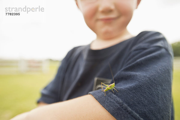 Außenaufnahme  Europäer  Spiel  Junge - Person  Insekt  freie Natur