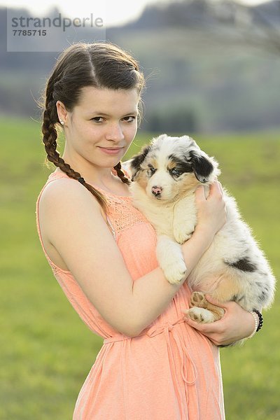 Junge Frau mit Australian Sheperd Welpen  Bayern  Deutschland  Europa