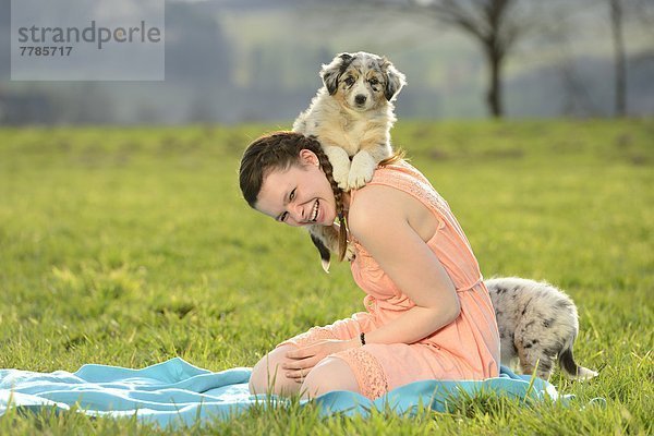 Junge Frau mit Australian Sheperd Welpen  Bayern  Deutschland  Europa