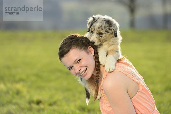 Junge Frau mit Australian Sheperd Welpen  Bayern  Deutschland  Europa