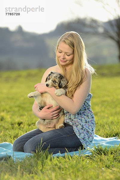 Junge Frau mit Australian Sheperd Welpen  Bayern  Deutschland  Europa