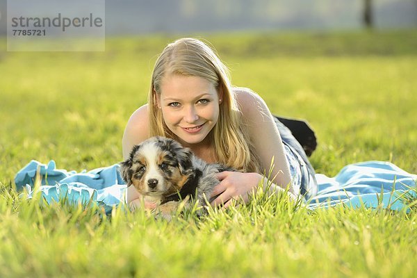 Junge Frau mit Australian Sheperd Welpen  Bayern  Deutschland  Europa