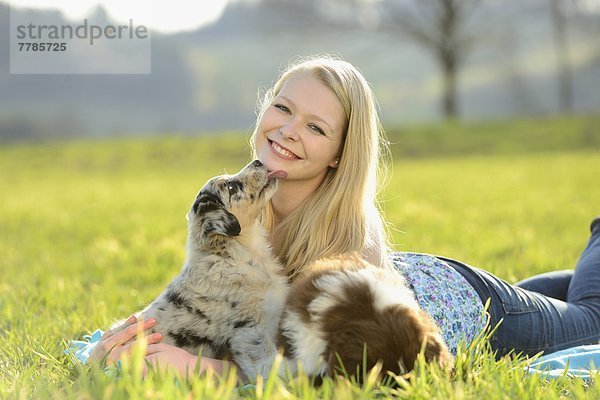 Junge Frau mit Australian Sheperd Welpen  Bayern  Deutschland  Europa