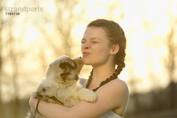 Junge Frau mit Australian Sheperd Welpen  Bayern  Deutschland  Europa