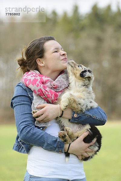 Junge Frau mit Australian Sheperd Welpen  Bayern  Deutschland  Europa