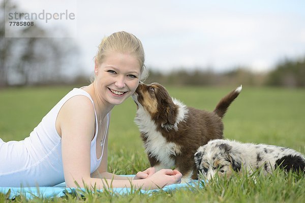 Junge Frau mit Australian Sheperd Welpen  Bayern  Deutschland  Europa