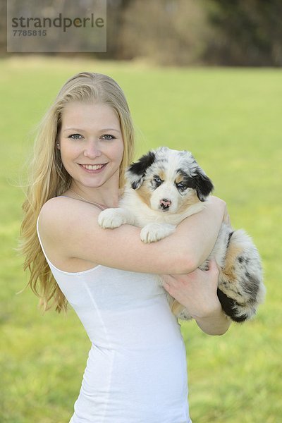 Junge Frau mit Australian Sheperd Welpen  Bayern  Deutschland  Europa