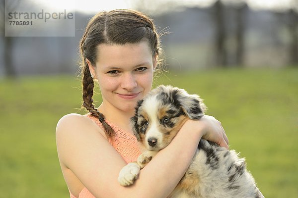 Junge Frau mit Australian Sheperd Welpen  Bayern  Deutschland  Europa