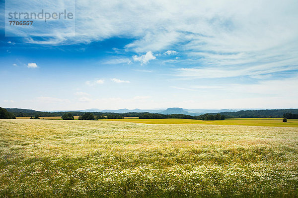 Sommerfeld  Tschechische Republik