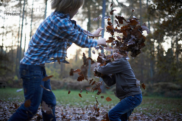 Jungen  die sich gegenseitig mit Blättern bewerfen.