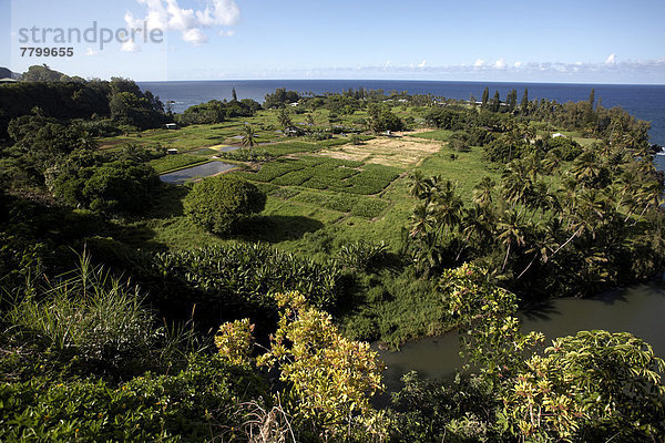 Landschaftlich schön  landschaftlich reizvoll  Fernverkehrsstraße  Hana  Hawaii  Maui