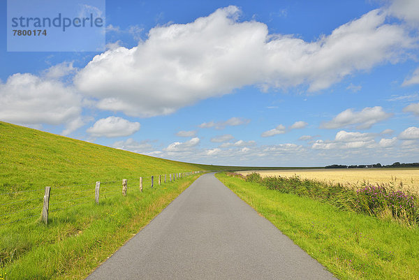 Deutschland  Schleswig-Holstein