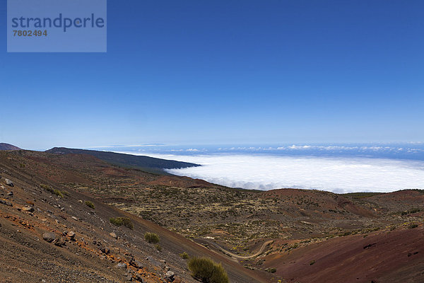 Parque Nacional de las Cañadas del Teide  Nationalpark Teide  UNESCO Weltnaturerbe  mit Aussicht auf den Atlantik