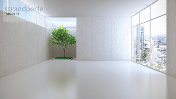 Leerer Raum mit Pflanze  Loft  3D-Illustration