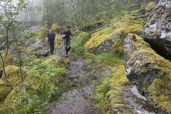 Wanderer steigen auf einem Gebirgspfad zur Hochebene Hardangervidda auf  bemooste Felsblöcke