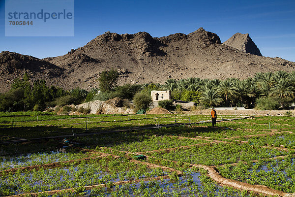 Wadi Tanuf