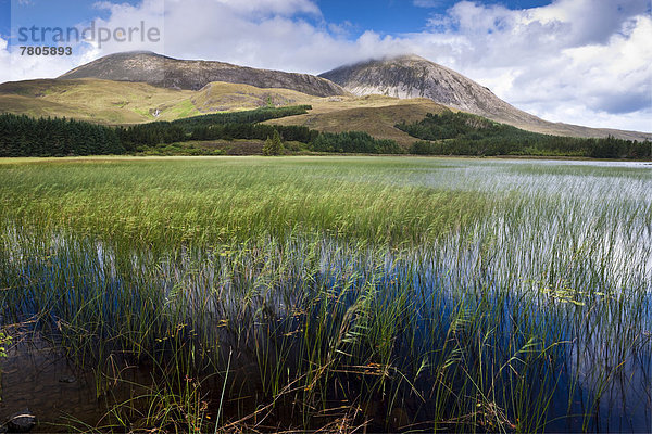 See  Loch Cill Chriosd