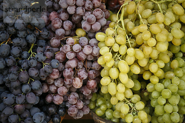 Blaue und weiße Weintrauben