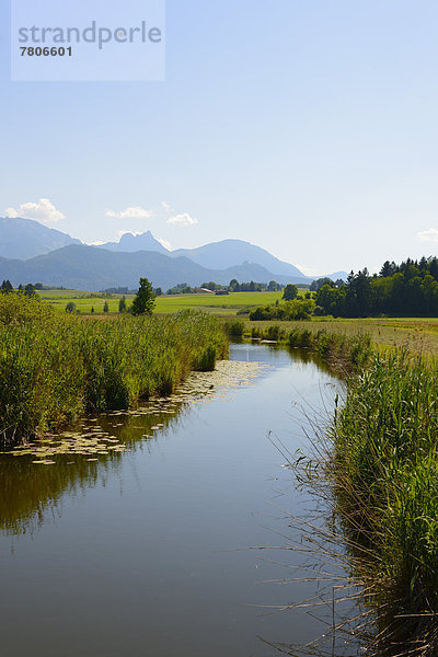 Ach oder Achen am Hopfensee