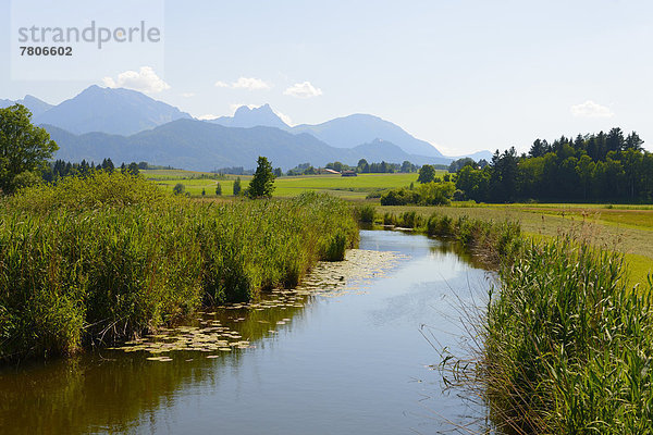 Ach oder Achen am Hopfensee