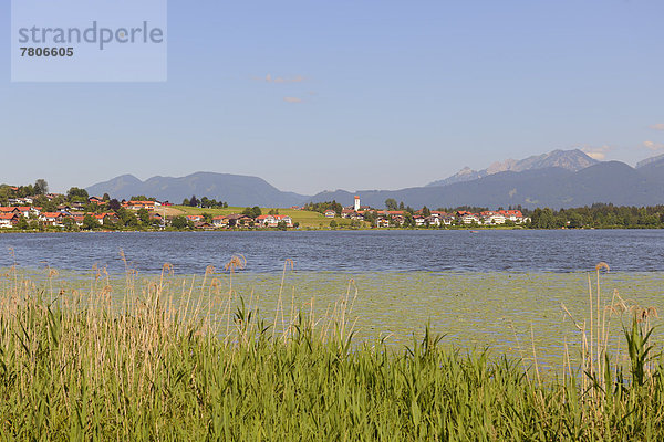 Hopfensee mit Hopfen am See