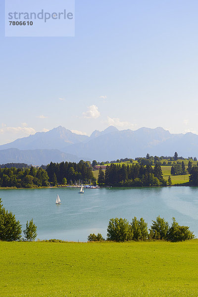 Segelboote auf dem Forggensee