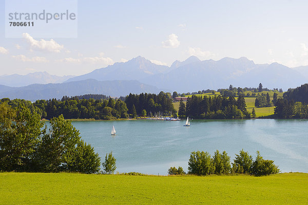 Segelboote auf dem Forggensee