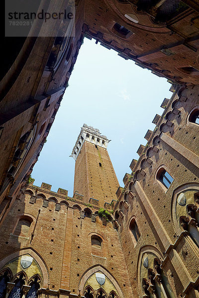 Rathausturm von Siena