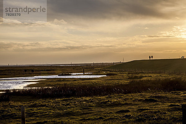 Winter Landschaft Sumpf