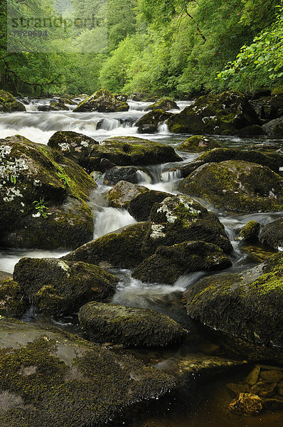 Steine im Fluss River Llugwy oder Afon Llugwy