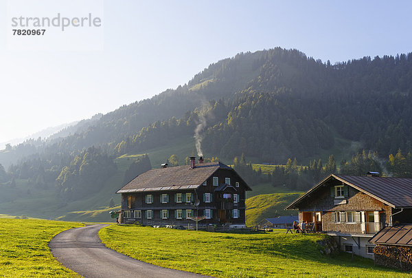 Almdorf  village on an alpine pasture