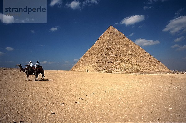 pyramidenförmig Pyramide Pyramiden Kairo Hauptstadt fahren Mount Chephren Afrika Kamel Ägypten Gise Pyramide