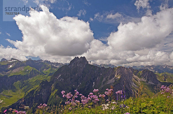 Höfats  2259m  vom Laufbacher Eck-Weg