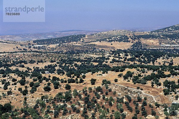 Jordan  High ground of the Golan                                                                                                                                                                    