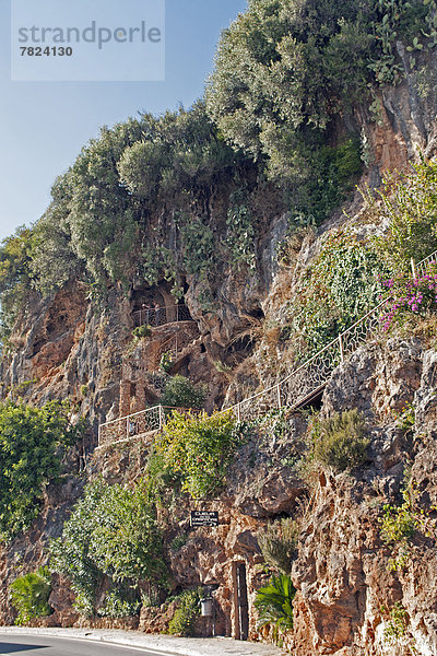 Felsbrocken  Europa  Berg  Blume  Straße  Steilküste  Pflanze  Höhle  Andalusien  Spanien  Tourismus
