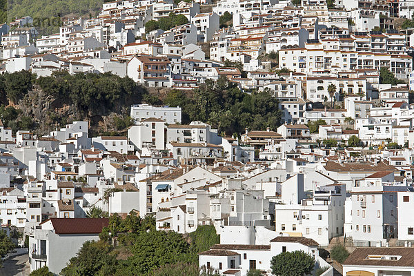 Detail  Details  Ausschnitt  Ausschnitte  Panorama  bauen  Europa  Wolke  Baum  Gebäude  Architektur  Pflanze  Andalusien  Spanien  Tourismus