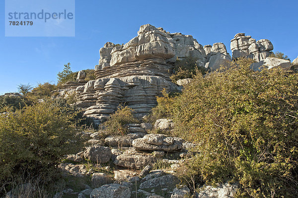 Nationalpark  Felsbrocken  Landschaftlich schön  landschaftlich reizvoll  Europa  Berg  Baum  Steilküste  Pflanze  Andalusien  Spanien  Tourismus