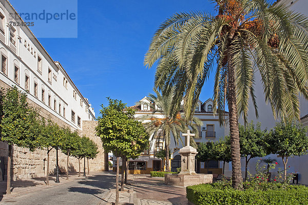 Wasser  Baustelle  überqueren  Europa  Baum  Gebäude  Architektur  Pflanze  Kirche  Ziehbrunnen  Brunnen  Andalusien  Kreuz  Marbella  Spanien  Tourismus