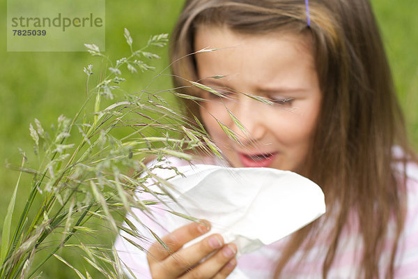 Heuschnupfen  Pollenallergie  Taschentuch  Mädchen  Allergie