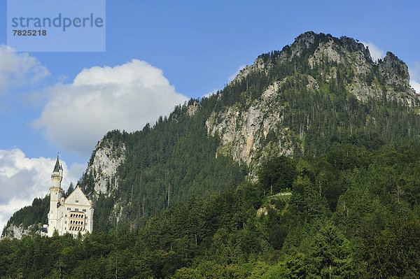 Außenaufnahme  Europa  Palast  Schloß  Schlösser  Architektur  Schloss Neuschwanstein  Das Neunzehnte Jahrhundert  Bayern  bayerisch  Deutschland  Hohenschwangau