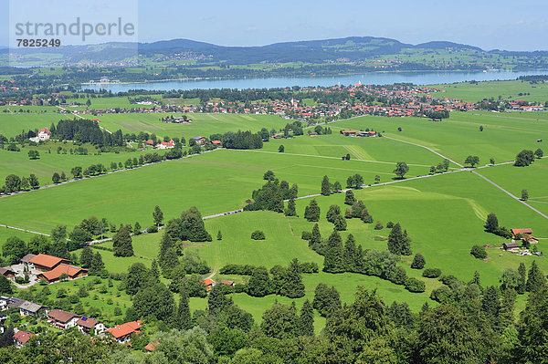 Außenaufnahme  Europa  Ländliches Motiv  ländliche Motive  Palast  Schloß  Schlösser  Architektur  Querformat  Schloss Neuschwanstein  König - Monarchie  Das Neunzehnte Jahrhundert  Bayern  bayerisch  Deutschland  Hohenschwangau  Schwangau