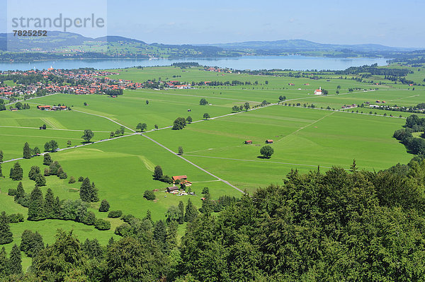 Außenaufnahme  Europa  Ländliches Motiv  ländliche Motive  Palast  Schloß  Schlösser  Architektur  Querformat  Schloss Neuschwanstein  König - Monarchie  Das Neunzehnte Jahrhundert  Bayern  bayerisch  Deutschland  Hohenschwangau  Schwangau