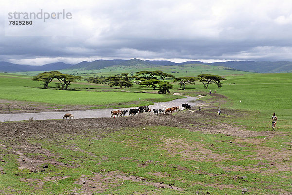 bale plateau  ethiopia                                                                                                                                                                              