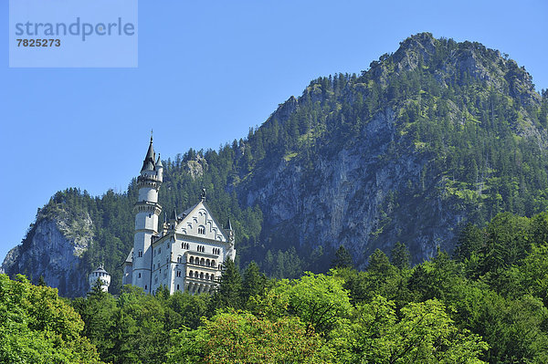 Außenaufnahme  Europa  Palast  Schloß  Schlösser  Architektur  Schloss Neuschwanstein  Das Neunzehnte Jahrhundert  Bayern  bayerisch  Deutschland  Hohenschwangau